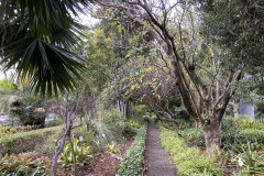 Jardín Botánico de la Orotava, Tenerife 108