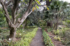 Jardín Botánico de la Orotava, Tenerife 116