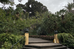 Jardín Botánico de la Orotava, Tenerife 12