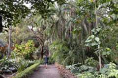 Jardín Botánico de la Orotava, Tenerife 136