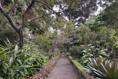 Jardín Botánico de la Orotava, Tenerife 137