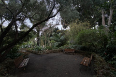 Jardín Botánico de la Orotava, Tenerife 138