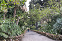 Jardín Botánico de la Orotava, Tenerife 14