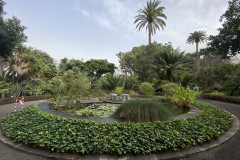 Jardín Botánico de la Orotava, Tenerife 155