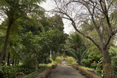 Jardín Botánico de la Orotava, Tenerife 184