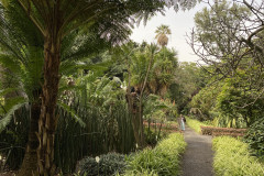 Jardín Botánico de la Orotava, Tenerife 198