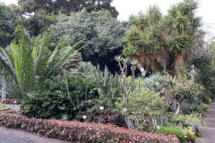 Jardín Botánico de la Orotava, Tenerife 200