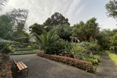 Jardín Botánico de la Orotava, Tenerife 201