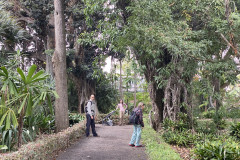 Jardín Botánico de la Orotava, Tenerife 216