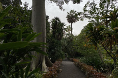 Jardín Botánico de la Orotava, Tenerife 22
