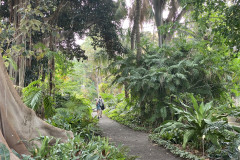 Jardín Botánico de la Orotava, Tenerife 223