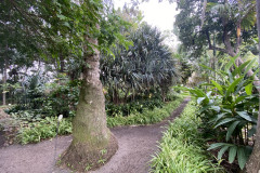 Jardín Botánico de la Orotava, Tenerife 23