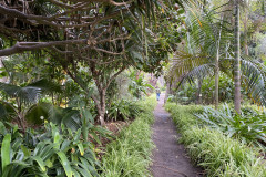 Jardín Botánico de la Orotava, Tenerife 25