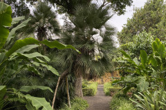Jardín Botánico de la Orotava, Tenerife 30