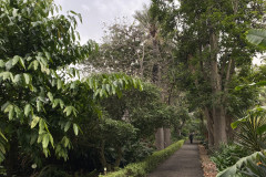Jardín Botánico de la Orotava, Tenerife 32