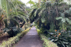 Jardín Botánico de la Orotava, Tenerife 44