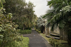 Jardín Botánico de la Orotava, Tenerife 55