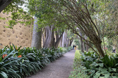 Jardín Botánico de la Orotava, Tenerife 64