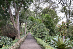 Jardín Botánico de la Orotava, Tenerife 68