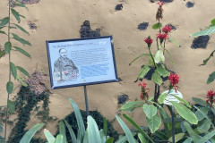 Jardín Botánico de la Orotava, Tenerife 70