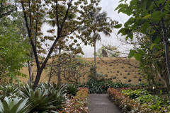 Jardín Botánico de la Orotava, Tenerife 78