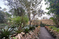 Jardín Botánico de la Orotava, Tenerife 79