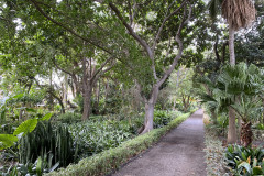 Jardín Botánico de la Orotava, Tenerife 80