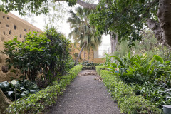 Jardín Botánico de la Orotava, Tenerife 81