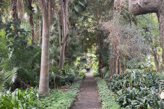 Jardín Botánico de la Orotava, Tenerife 88