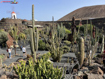 Jardín de Cactus Lanzarote 05