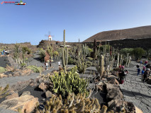 Jardín de Cactus Lanzarote 06