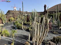 Jardín de Cactus Lanzarote 10