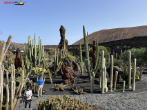 Jardín de Cactus Lanzarote 12