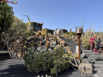 Jardín de Cactus Lanzarote 19