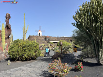 Jardín de Cactus Lanzarote 20