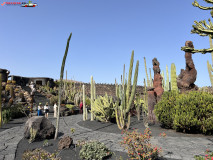 Jardín de Cactus Lanzarote 21
