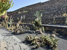 Jardín de Cactus Lanzarote 24