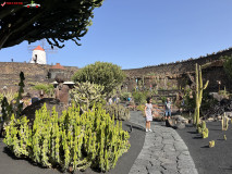 Jardín de Cactus Lanzarote 29