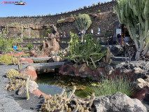 Jardín de Cactus Lanzarote 31