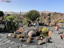 Jardín de Cactus Lanzarote 33