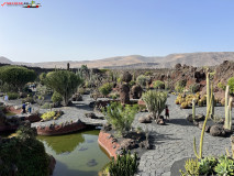 Jardín de Cactus Lanzarote 37