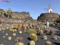 Jardín de Cactus Lanzarote 47