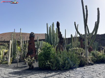 Jardín de Cactus Lanzarote 49