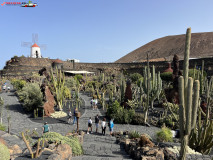 Jardín de Cactus Lanzarote 50