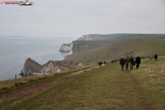 Jurassic Coast Anglia 05