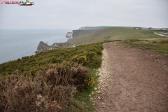 Jurassic Coast Anglia 10