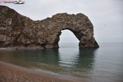 Jurassic Coast Anglia 115