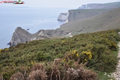 Jurassic Coast Anglia 12