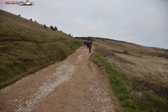 Jurassic Coast Anglia 28