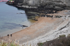 Jurassic Coast Anglia 50